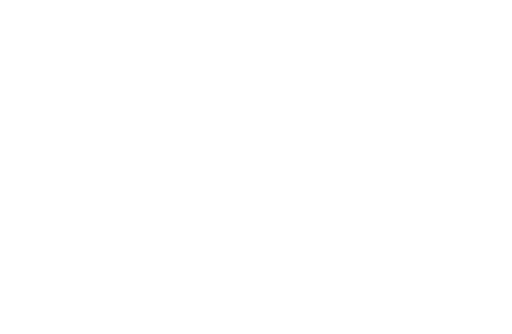 The Disco Boys Logo